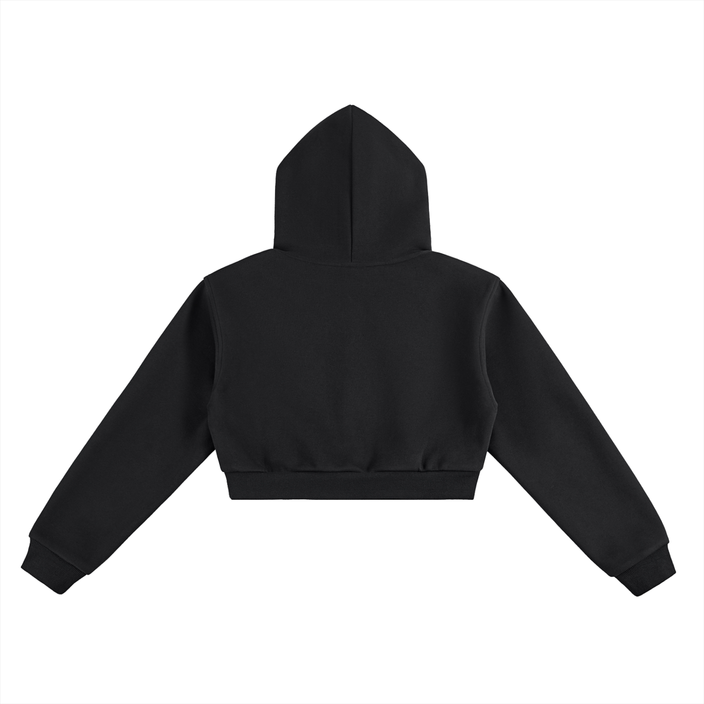 Women's Bridge Roots Cropped Hoodie